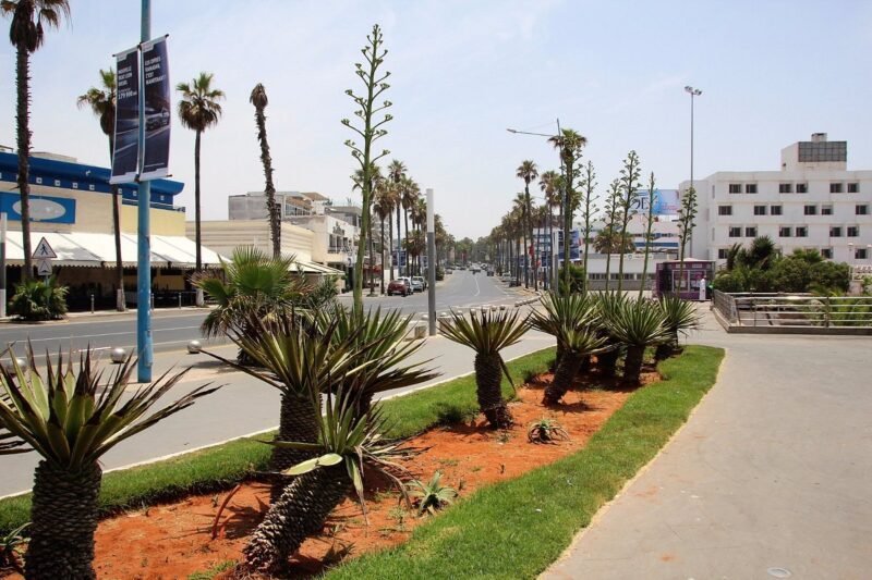 برلماني من الأحرار قالب عين الدياب، وها علاش