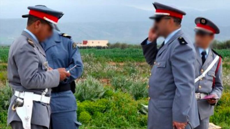 دركيين | H-NEWS آش نيوز