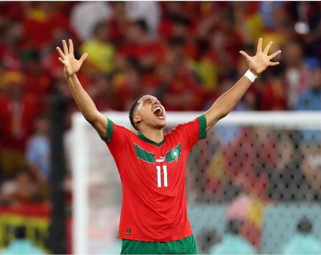 الأسود يقهرون البرازيل