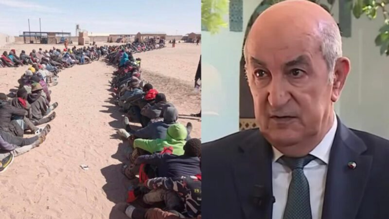 منظمة دولية تستنكر طرد تبون لآلاف المهاجرين إلى الصحراء