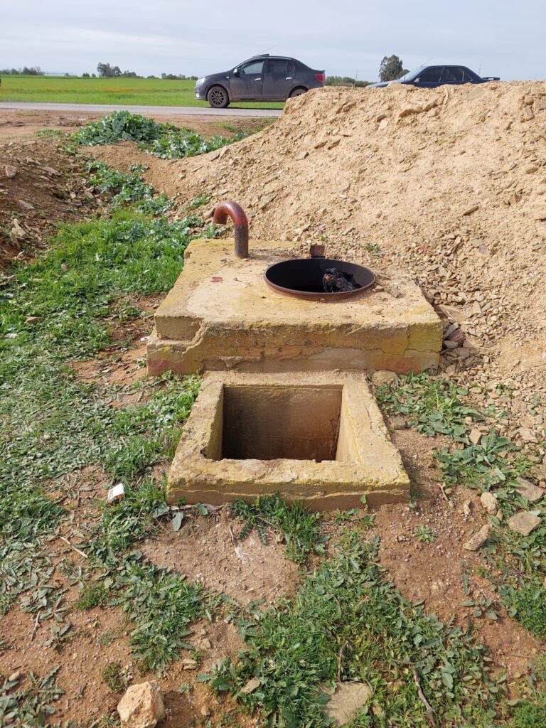 خلية جنان اللوز أمام وكيل الملك