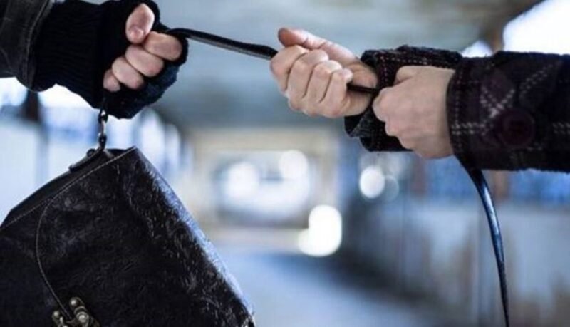 سرقة حقيبة يد تحولت إلى جريمة قتل
