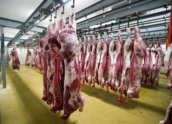 مجازر الدار البيضاء في أرقام