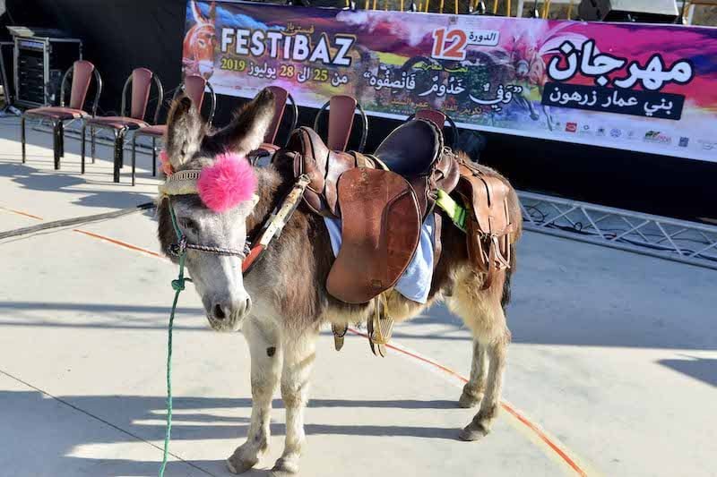 مهرجان بني عمار | H-NEWS آش نيوز