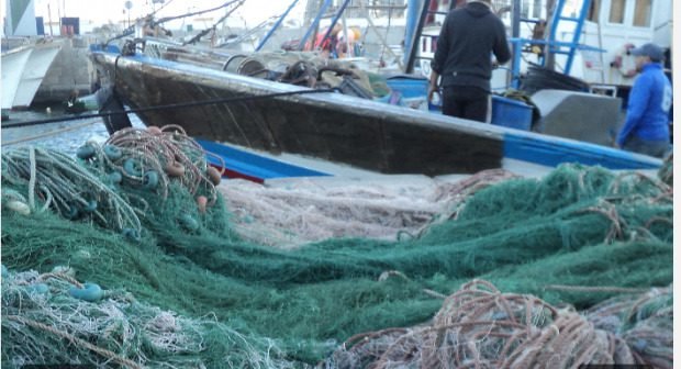 شباك صيد ممنوعة | H-NEWS آش نيوز