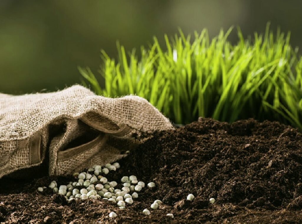 الأسمدة المغربية