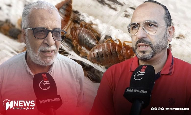 البق ميكروتروتوار