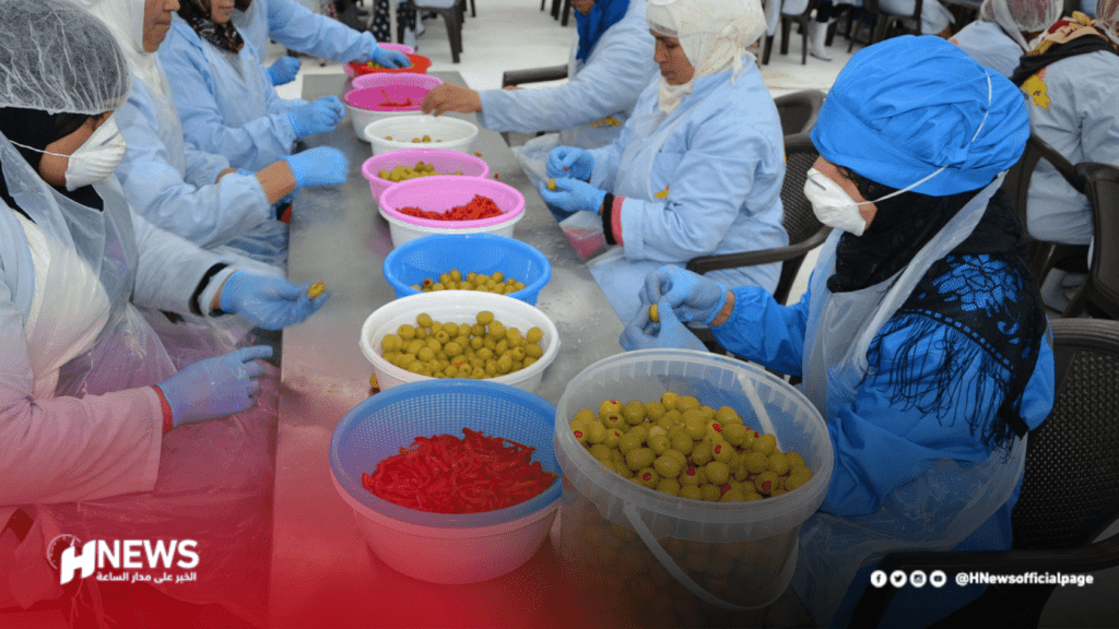 انخفاض إنتاج الزيتون