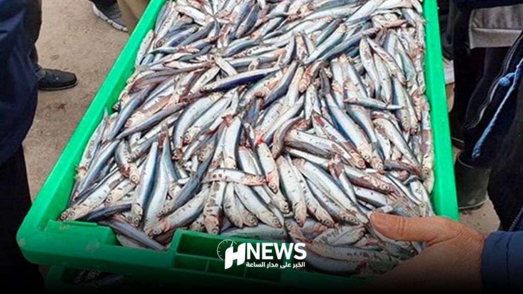 روسيا ترفض 75 طنا من الأسماك المغربية