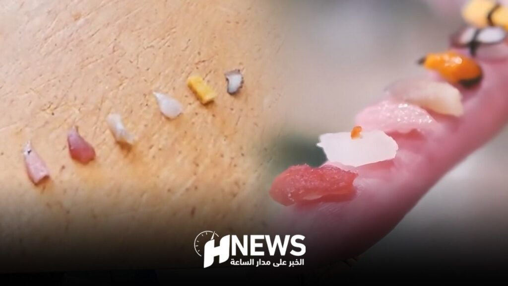 أصغر طبق سوشي في العالم يثير السخرية