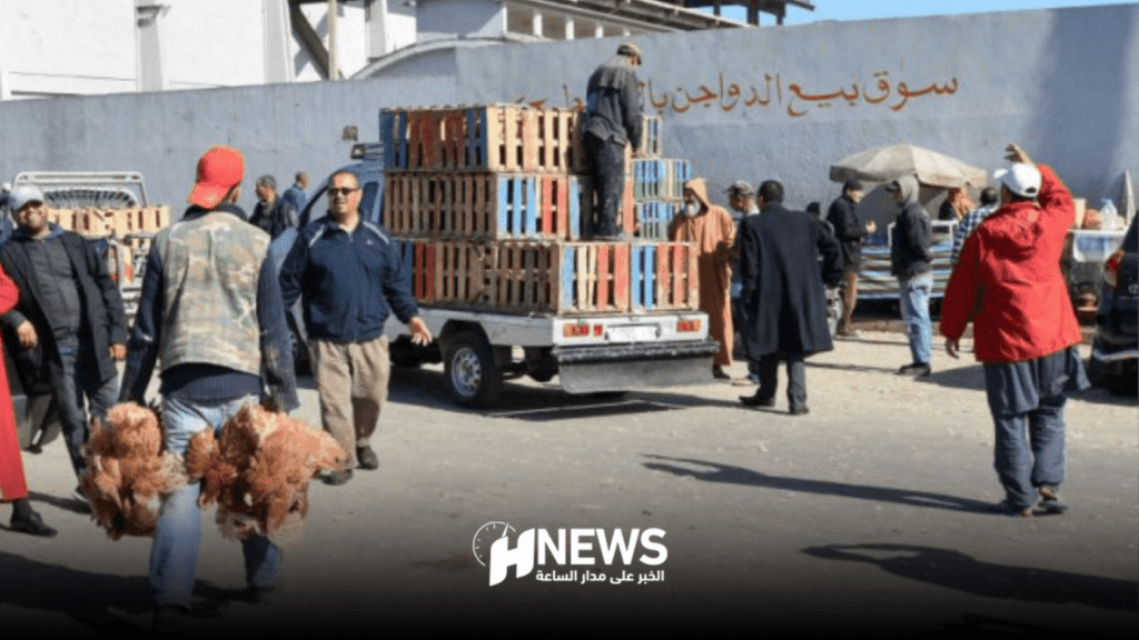 كاميرات لكشف اختلاس أموال سوق الجملة للدواجن بالبيضاء