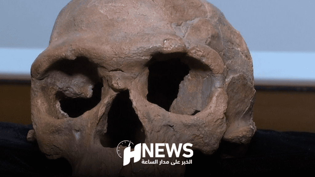 خبير: المغرب يزخر بمواقع أركيولوجية تؤرخ للأصول الأولى للوجود البشري