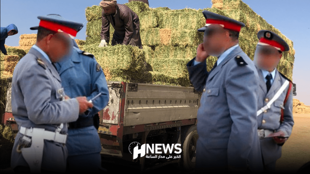 عصابة الدرك فلاحون