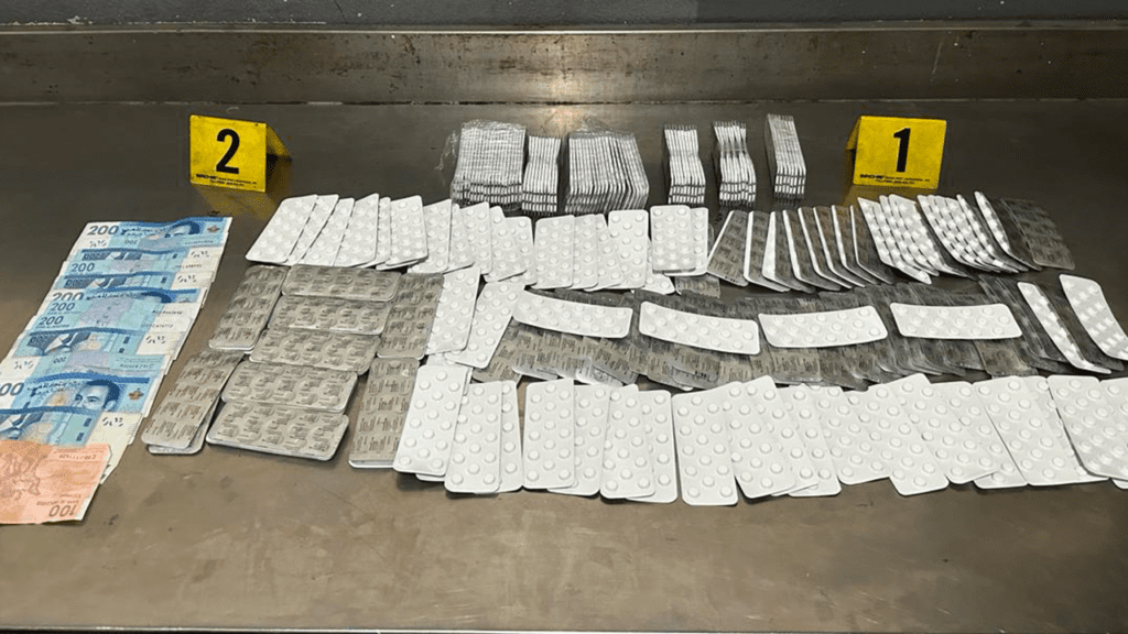 مخدرات | H-NEWS آش نيوز مخدرات