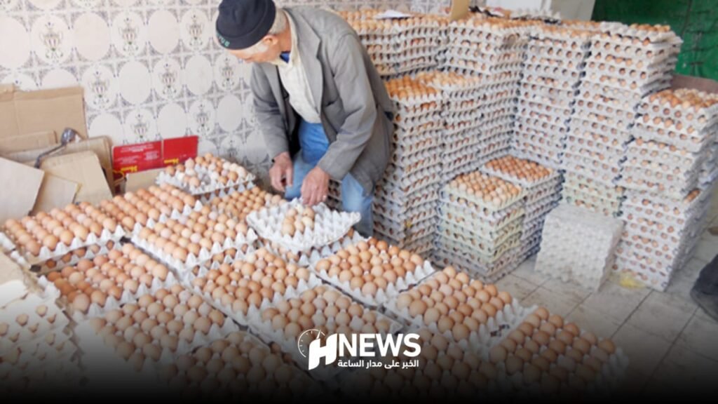 تقرير يكشف أسباب ارتفاع أسعار البيض