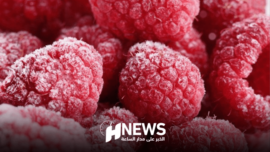 رغم الجفاف.. صادرات التوت المغربي تحقق نموا ملحوظا