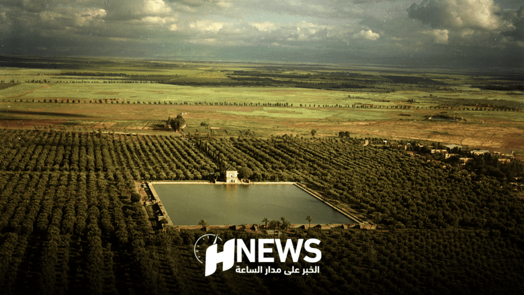 مراكش تحتضن موسم تقطير ماء الزهر