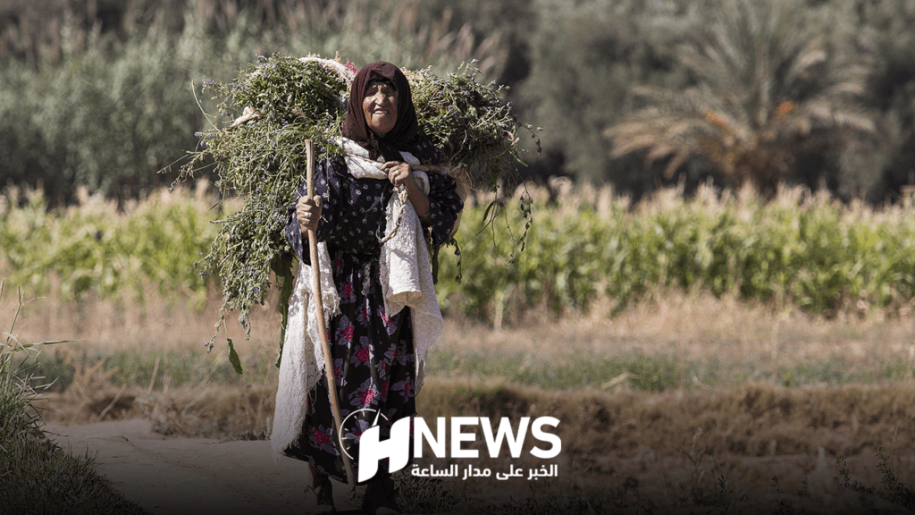 احتفاء بالمرأة ..النساء الاتحاديات يسلطن الضوء على نساء القرى