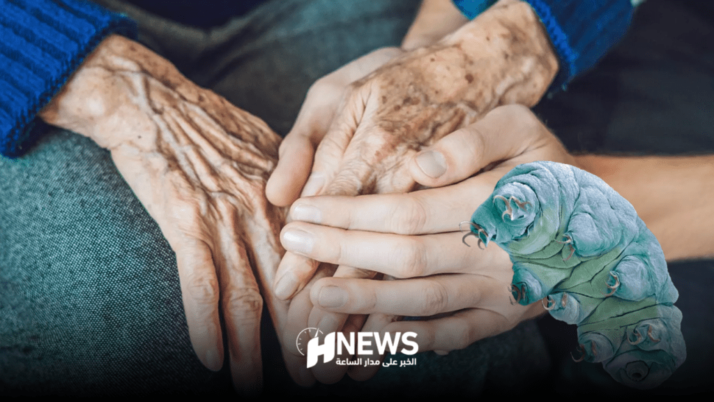 باحثون أمريكيون يكتشفون طريقة لإبطاء شيخوخة الإنسان