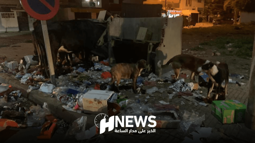 مولاي بوسلهام تستغيث بسبب التلوث والأزبال.. مصدر يكشف الوضع