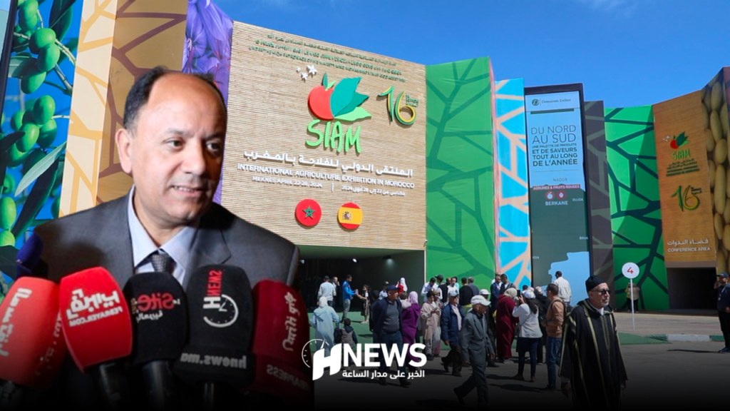 سيام هدان | H-NEWS آش نيوز