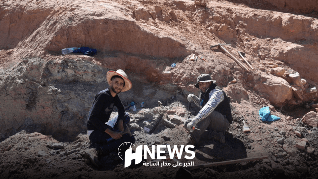 باحثون مغاربة يكشفون تفاصيل اكتشاف ديناصورات نادرة في منطقة الأطلس المتوسط