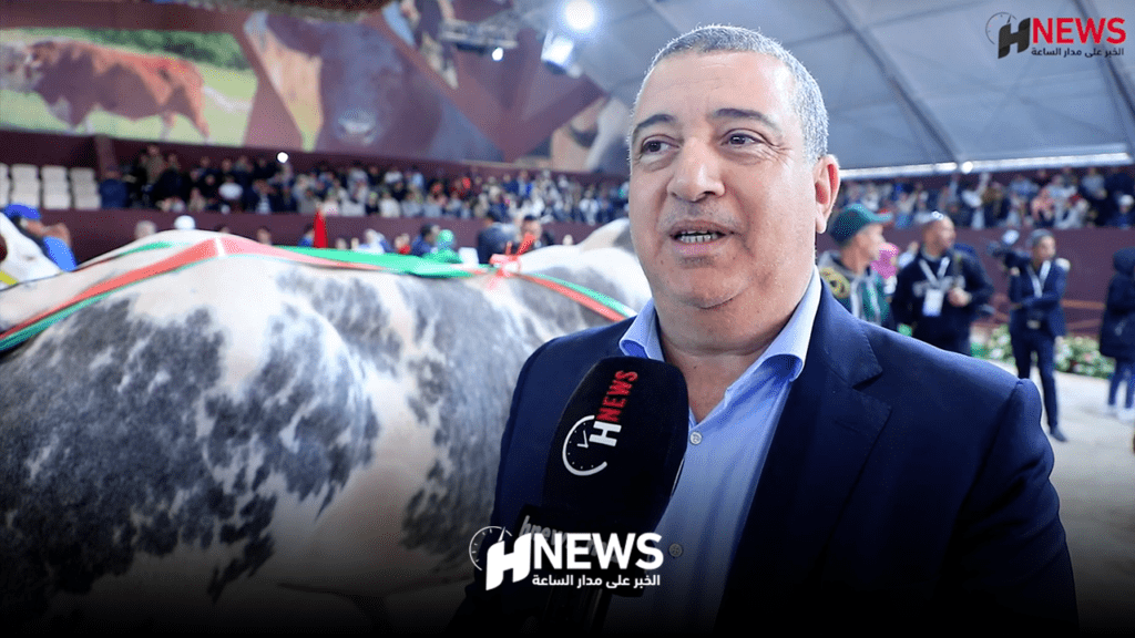 بالفيديو.. مربي ثيران بمعرض الفلاحة: الجزارون يفضلون السلالة البلجيكية