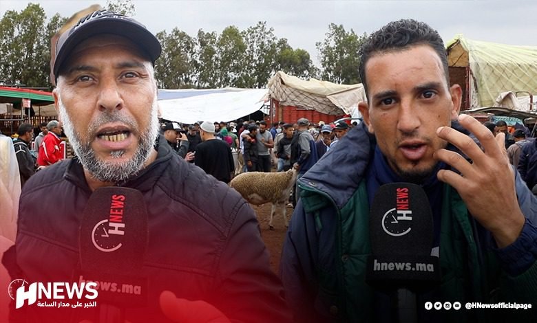 مواطنون | H-NEWS آش نيوز مواطنون