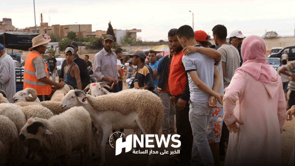 تصريحات “كسابة” حول أسعار الأضاحي تغضب المغاربة