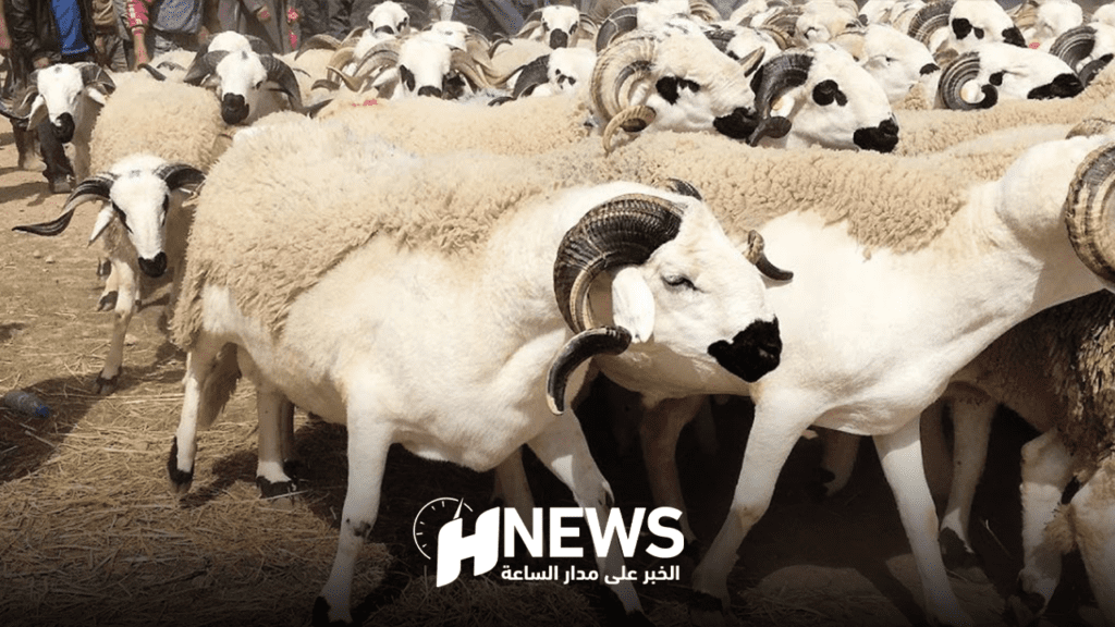 وزارة الأوقاف تعلن موعد حلول عيد الأضحى