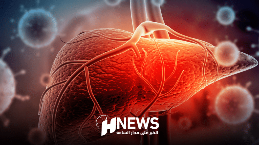 الكبد | H-NEWS آش نيوز