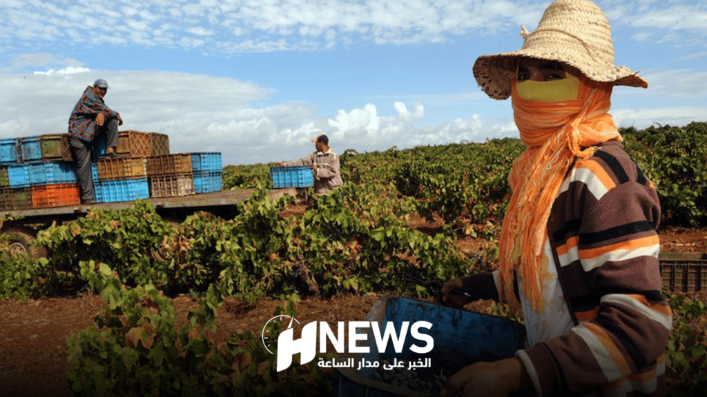 فيدرالية تطلق حملة توعوية لمكافحة تهميش المرأة مجتمعيا