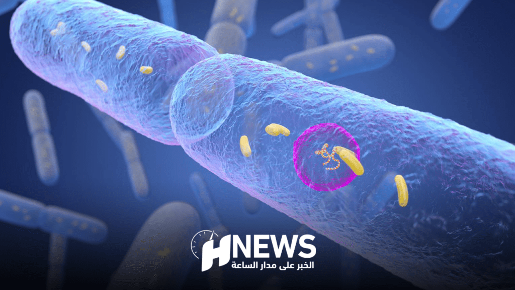 تقرير.. معظم المغاربة لايعرفون “الميكروبيوتا”