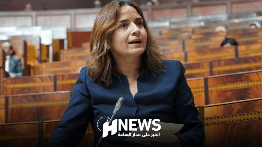 ليلى بنعلي: قطاع المعادن بالمغرب بحاجة للإصلاح