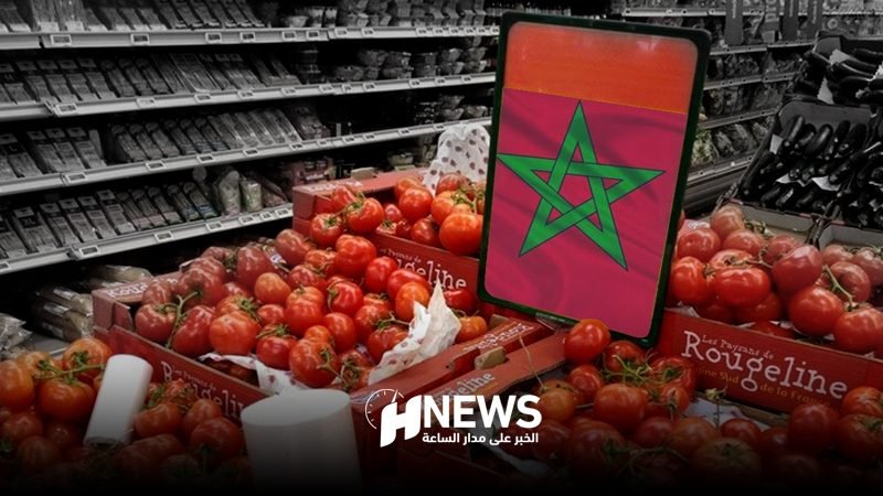 صادرات الطماطم