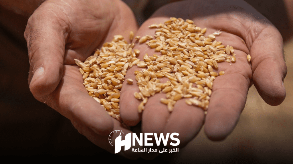 خبير بيئي يحذر: مناخ المغرب قد يصبح أكثر جفافا ويهدد الأمن الغذائي