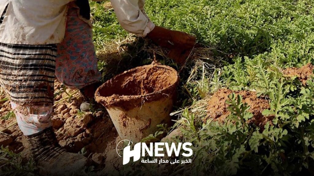 التساقطات الأخيرة تبعث الأمل لدى ساكنة الراشيدية وزاكورة