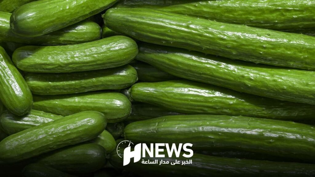 المغرب يهيمن على واردات الخيار الإسبانية في 2024