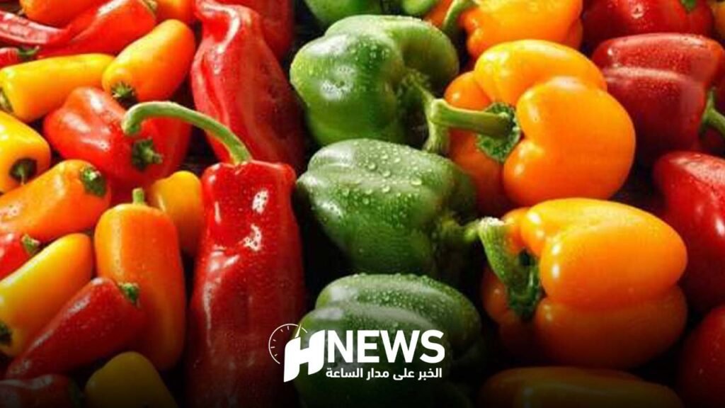 رقم قياسي في صادرات الفلفل المغربي إلى إسبانيا