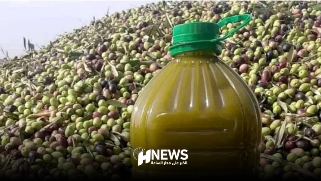 الغش في زيت الزيتون يسائل وزير الفلاحة
