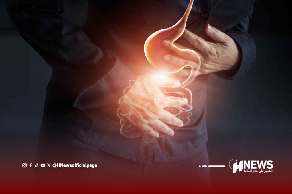 الأمعاء والبروبيوتيك والوقاية من الخرف