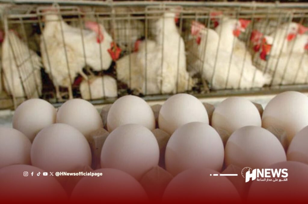 الدجاج والبيض