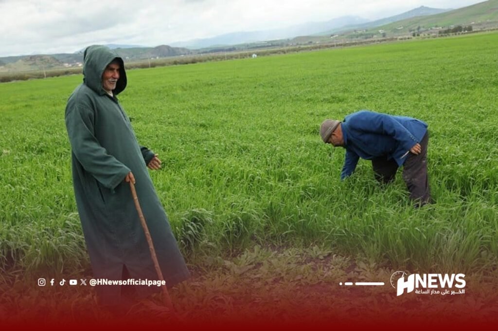 الفلاحة | H-NEWS آش نيوز الفلاحة