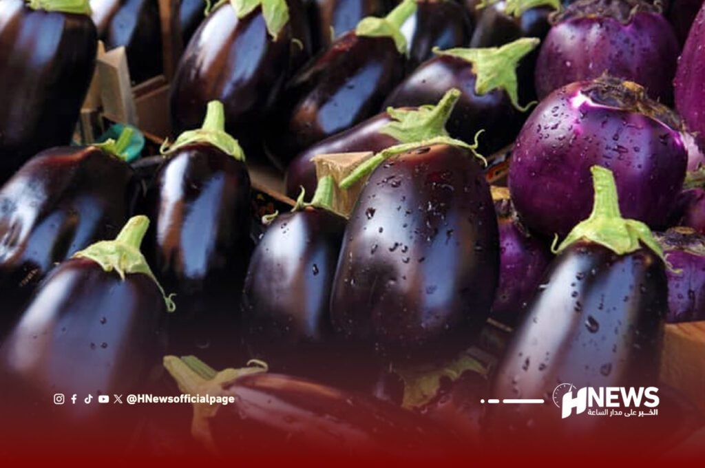 المغرب يحتل المرتبة 19 عالميا في إنتاج الباذنجان