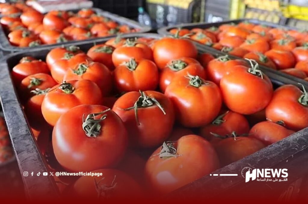 مع اقتراب رمضان.. أسعار الطماطم تشهد ارتفاعا صاروخيا