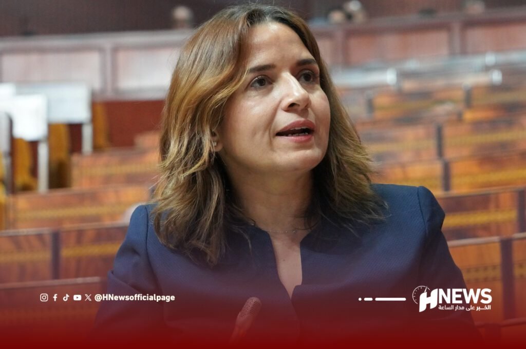 مخطط إصلاح القطاع المعدني أمام مجلس النواب