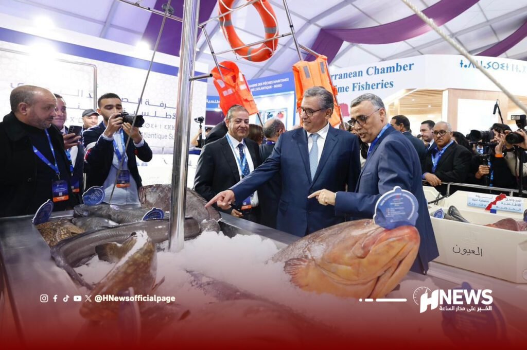 أخنوش أليوتيس 1 | H-NEWS آش نيوز أخنوش أليوتيس 1