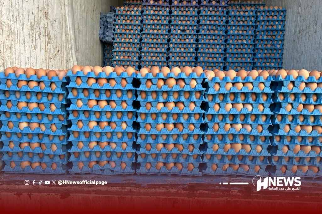 البيض | H-NEWS آش نيوز البيض