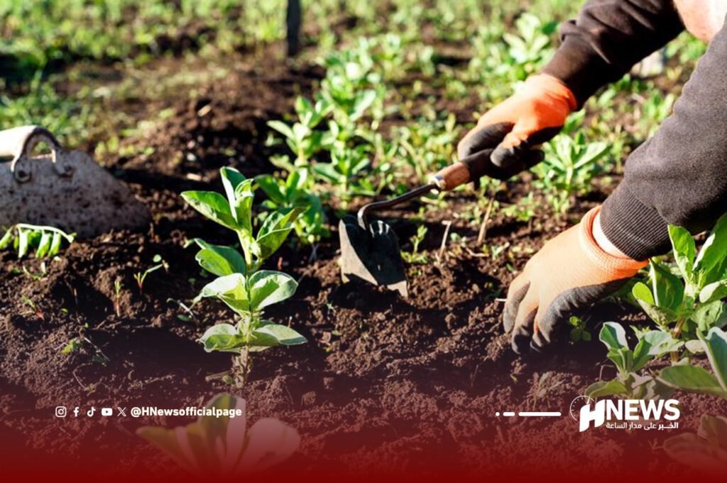 التساقطات | H-NEWS آش نيوز التساقطات