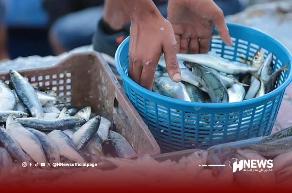 السردين | H-NEWS آش نيوز السردين